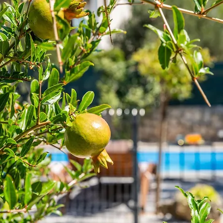 Marijana By Interhome Vikendica Zaboric