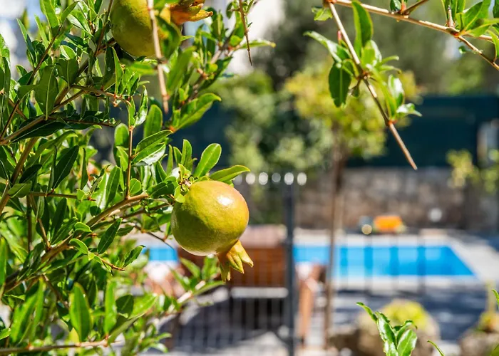 Marijana By Interhome Vikendica Zaboric